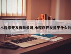 小程序开发有前景吗,小程序开发是干什么的